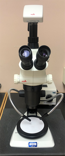  Leica S8AP0 Stereo Microscope, magnification up to 80X.